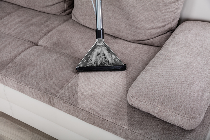 Maintain upholstered furniture with regular cleanings.