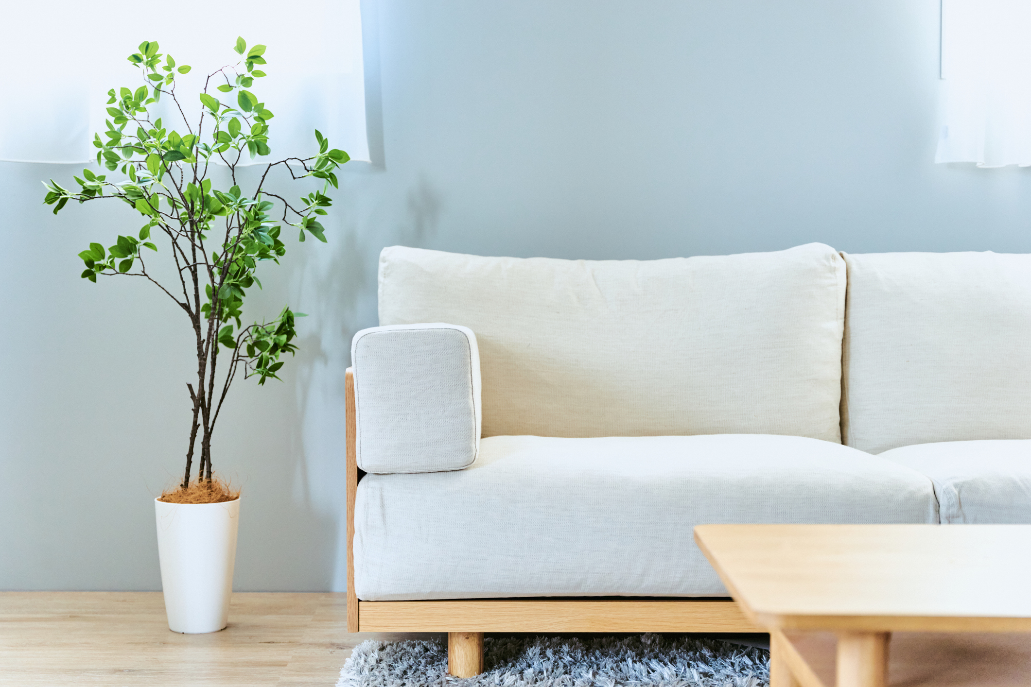 Our Howard's Upholstery furniture experts have compiled this guide to educate the public and our clients about sustainable upholstery fabrics.